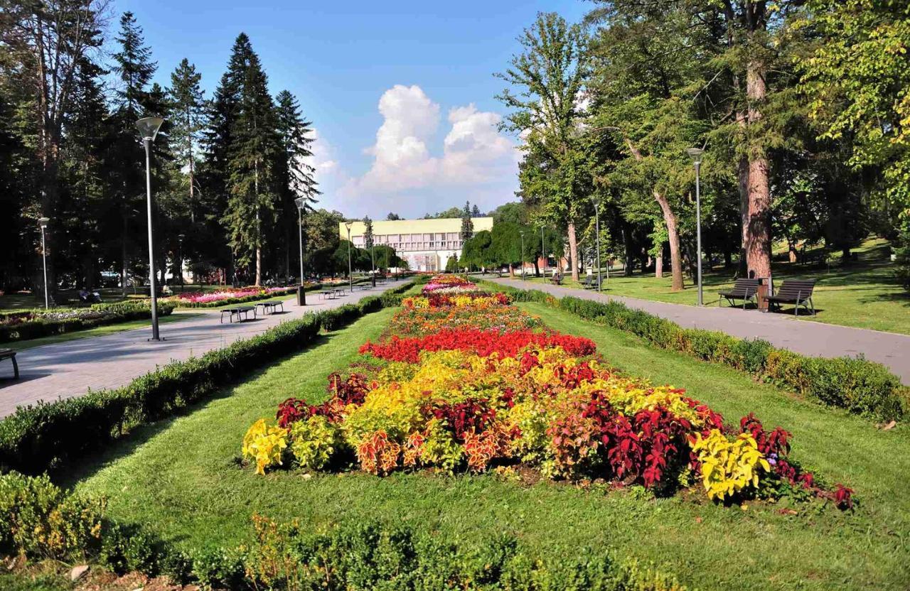 Apolon Spa Vrnjačka Banja Εξωτερικό φωτογραφία